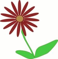 Picture of spring flower