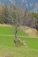 Children on a stone beside a lonely tree