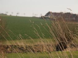 unimaginable field