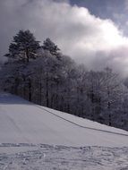 Winter in the mountains against the background of white clouds