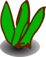 Clipart of the plant