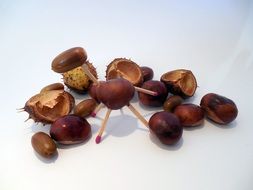 The figure is made of chestnut shells