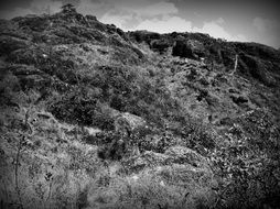 black and white photo of a mountainside