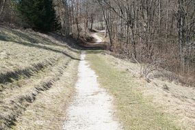 away forest path