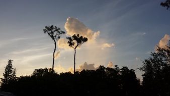 scenic park, florida