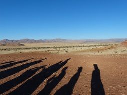 shadow play silhouettes in desert