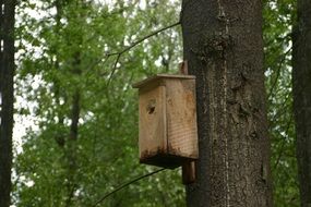 extraordinary beautiful bird house