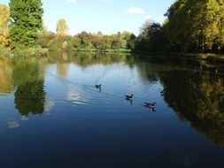 more summer in the park