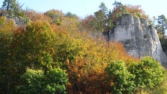 paternity national park in poland