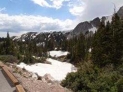 snow in the forest in the foothills