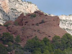 landscape of the red chaparral mountains