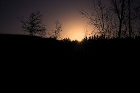 sunset trees