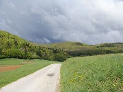 road nature landscape