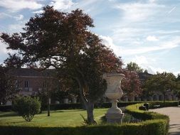 Colorful trees in the park on sunny landscape