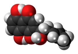 molecule model