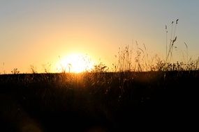 Picture of nature sunset