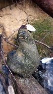 stone bird