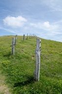 picket fence on a green hill