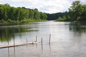 Woods on a lake