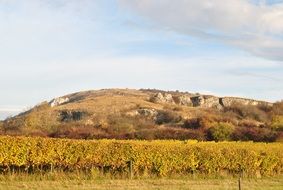 Landscape of autumnal country side