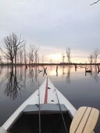 View from the canoe to the lake