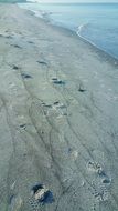 photo of foot prints on the sand beach
