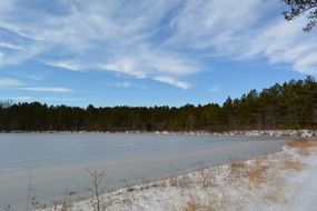 Frozen pond winter forest landscape