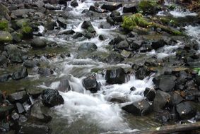 panoramic view of the creek among the stones