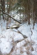 creek winter Snowy forest view