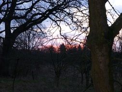 winter sunrise in wilderness