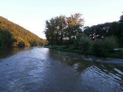 forest river in summer