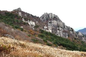 meadow with dry grass near a rocky mountain