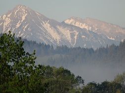 Tatras beyond the forest, poland