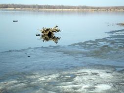 Landscape of lake Abadszalok