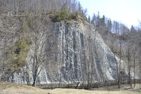 waterfall falls from a cliff with trees