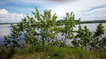 amazing summer landscape
