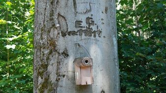 Bird house on a tree