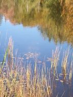 lake reflection