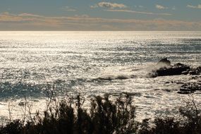 glossy sea at coast