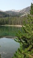 Scenic landscape at the lake