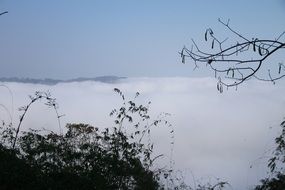 mountains and hills in the fog