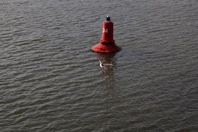 red buoy on the river