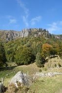 green forest near the mountain