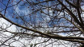 clouds flying