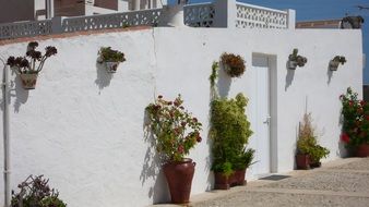 Tabarca island landscapes