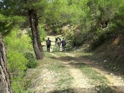 Hiking on path on the mountain