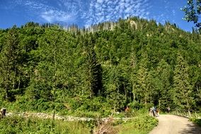 Tatry Slovakia spring landscape