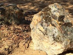 Stones in nature