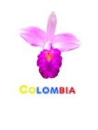 Pink colombia flower clipart