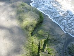 sand and sea